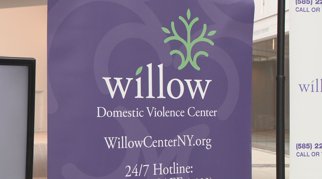 Willow Domestic Violence Center Logo Banner